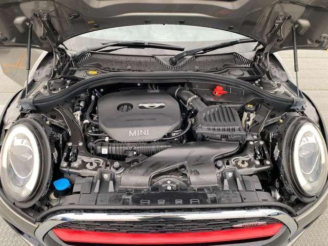 22211868_carP_l_15.jpg