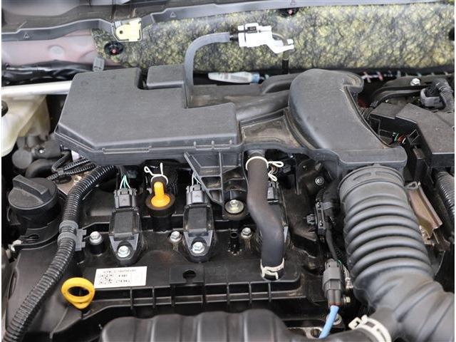 22961678_carP_l_18.jpg
