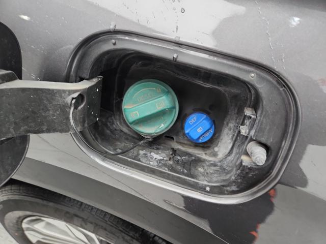 lotterental_231114224_oz0v2_8.jpg