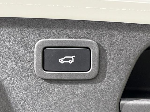 22168777_carP_l_19.jpg
