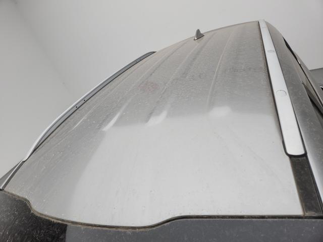 lotterental_144102893_63ZYk_2.jpg