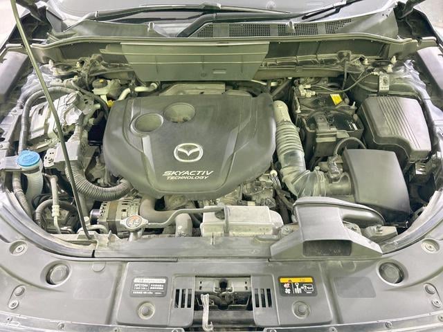 19243482_carP_l_18.jpg