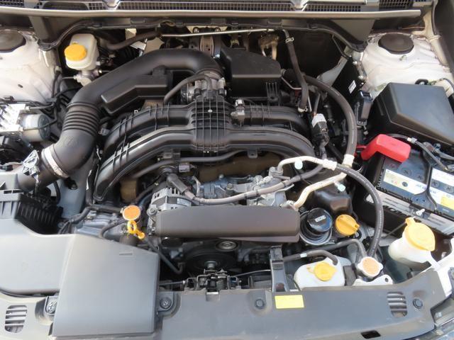 21183393_carP_l_18.jpg
