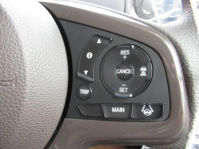 0703310A30250203W00116.jpg
