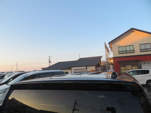 22386518_carP_l_9.jpg