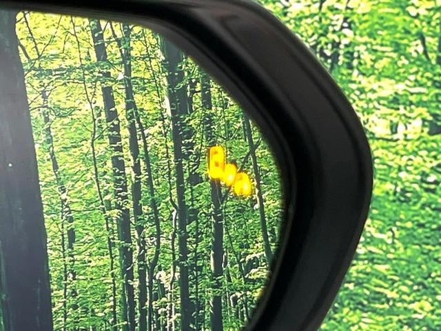 18389216_carP_l_14.jpg