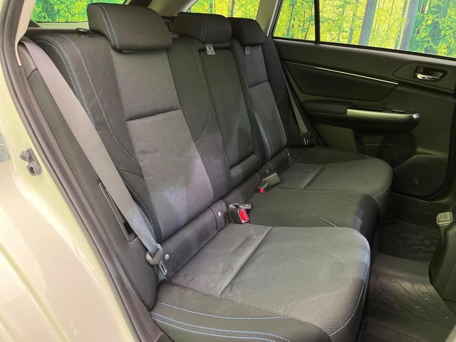 21817305_carP_l_19.jpg