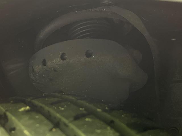 21817305_carP_l_20.jpg