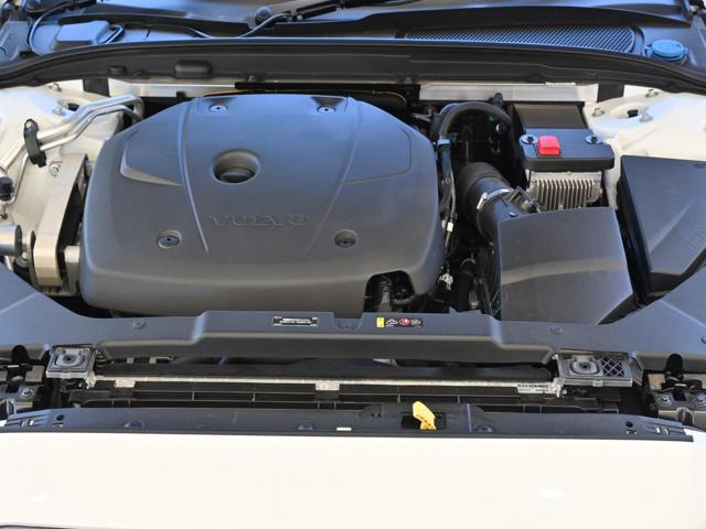 08625e40998a2974ff9392b392d8987f.jpg