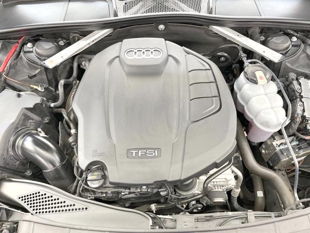 21764870_carP_l_20.jpg