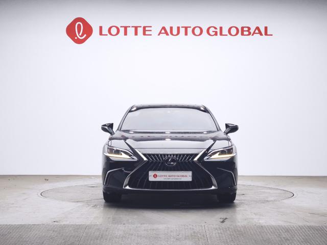 lotterental_222921280_oTHXa_1.jpg