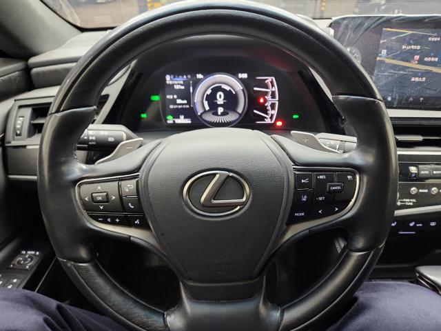 lotterental_223028920_m7fSt_6.jpg