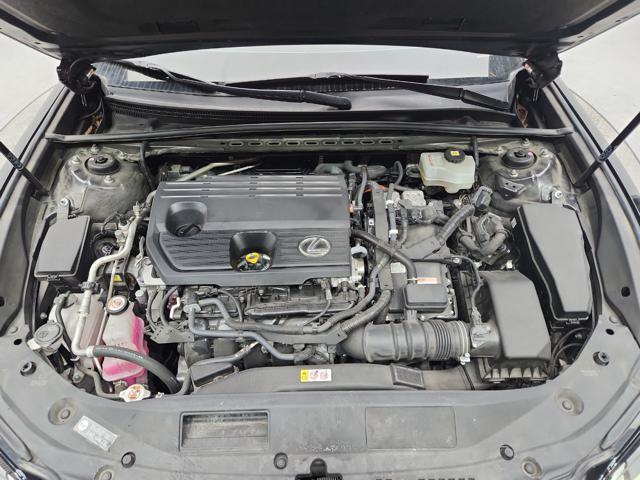 lotterental_223243125_h95Fj_4.jpg