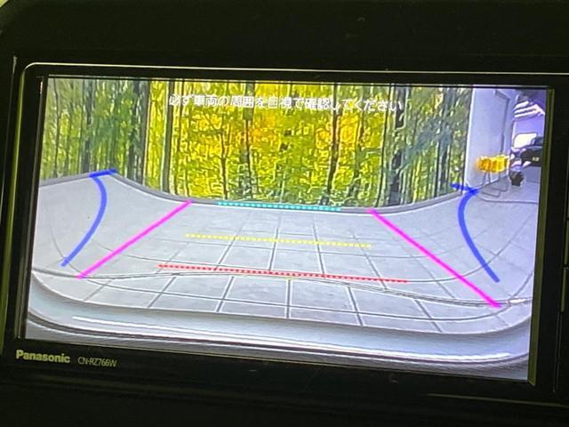 22354119_carP_l_10.jpg