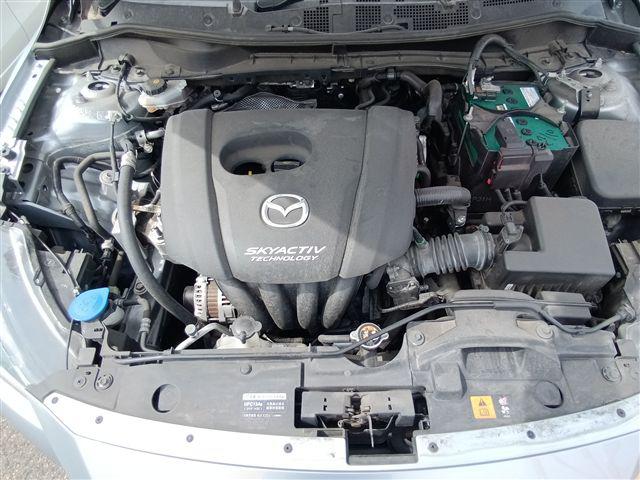 08.jpg