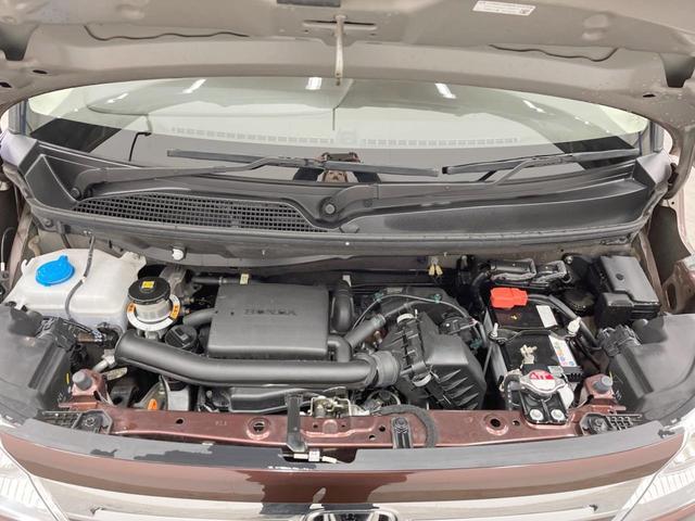 21983566_carP_l_18.jpg