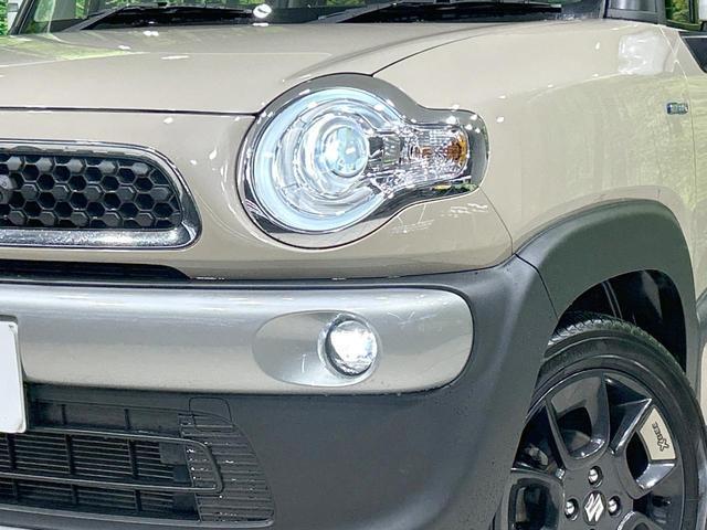 21132419_carP_l_6.jpg