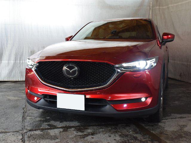 c7fcaa5aa230ab797a8477fcb728b76e.jpg