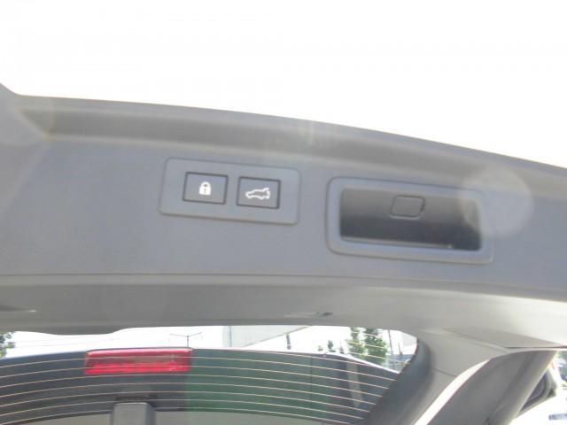 21606366_carP_l_8.jpg