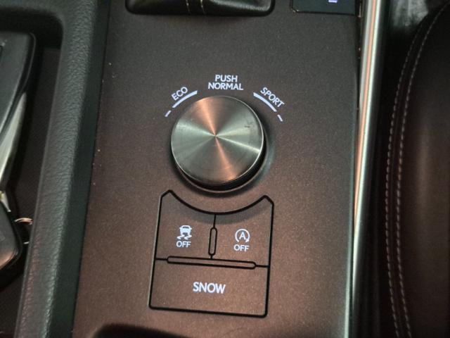 a45f1506a06f742cafc7b8d6fd2ac4fd.jpeg