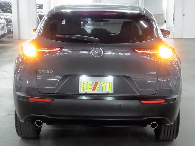 0500075A20260301K01906.jpg