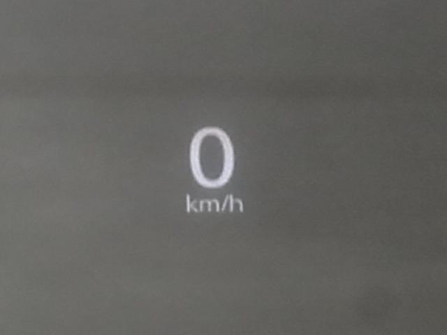 0500075A20260301K01919.jpg