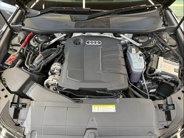 22950680_carP_l_6.jpg