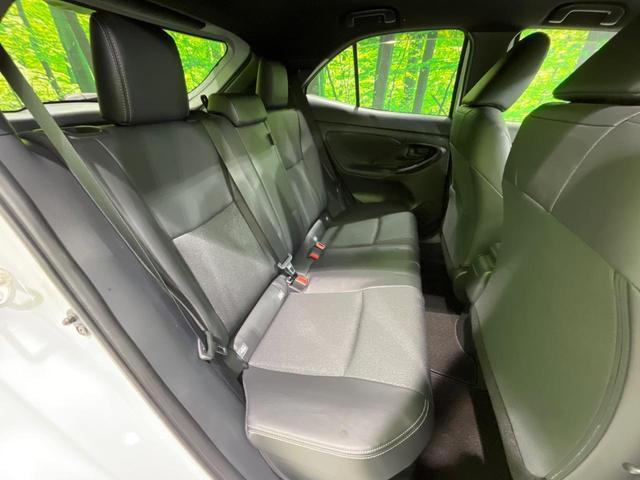 22620458_carP_l_19.jpg