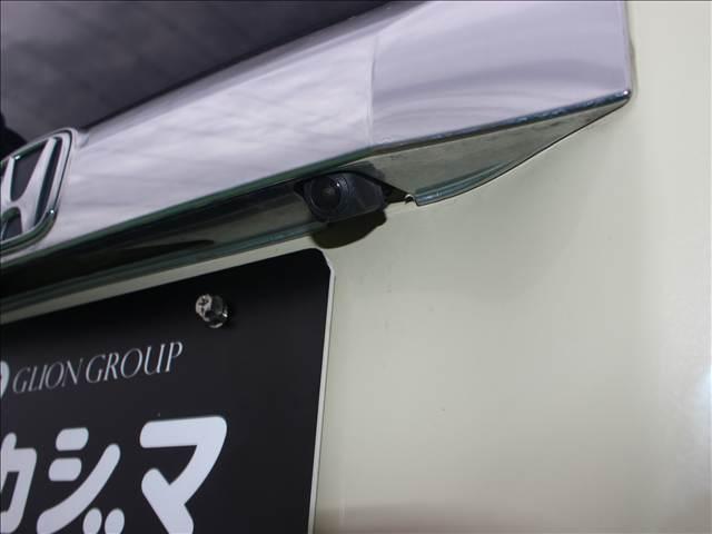 21252856_carP_l_17.jpg