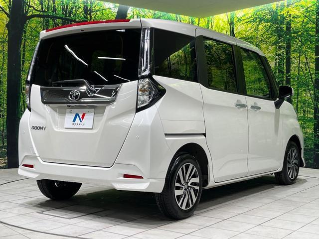20923480_carP_l_12.jpg