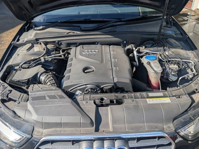 22008159_carP_l_17.jpg