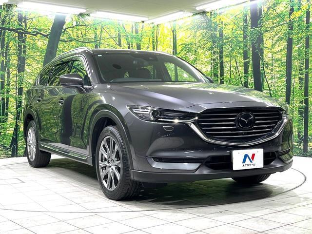 22187201_carP_l_16.jpg