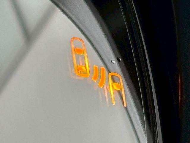 20035482_carP_l_5.jpg