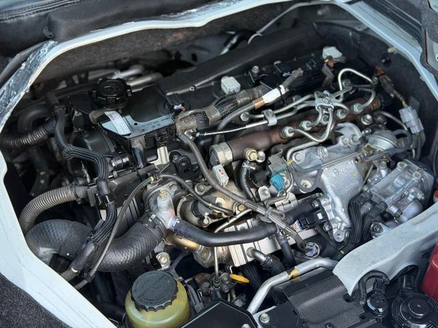 22052500_carP_l_5.jpg
