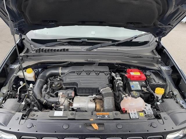 16349909_carP_l_20.jpg
