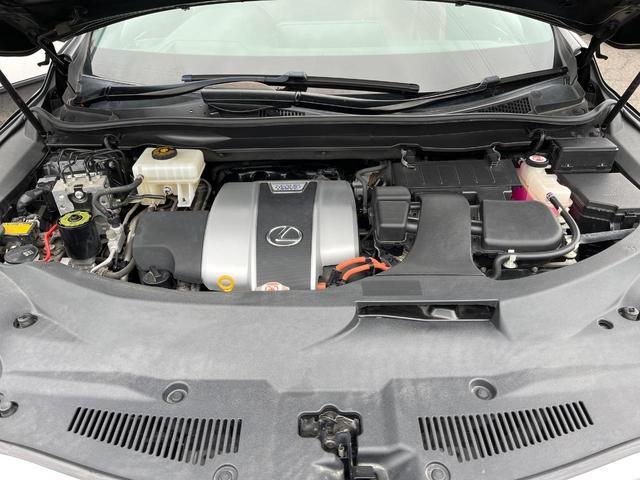 23093481_carP_l_16.jpg