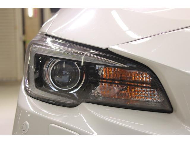 22713870_carP_l_16.jpg