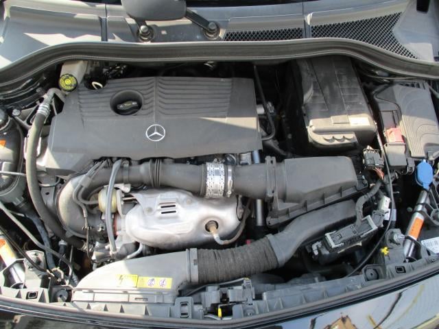 19115047_carP_l_17.jpg