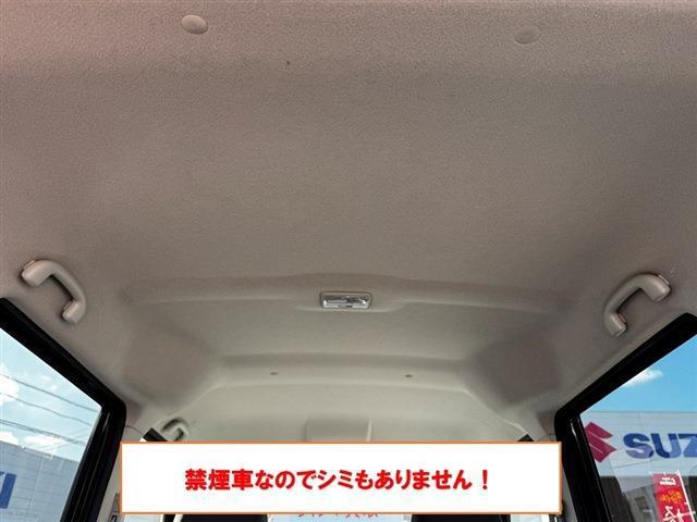 22192019_carP_l_6.jpg