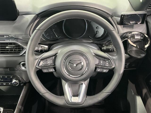 21690165_carP_l_5.jpg