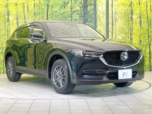 20905845_carP_l_11.jpg