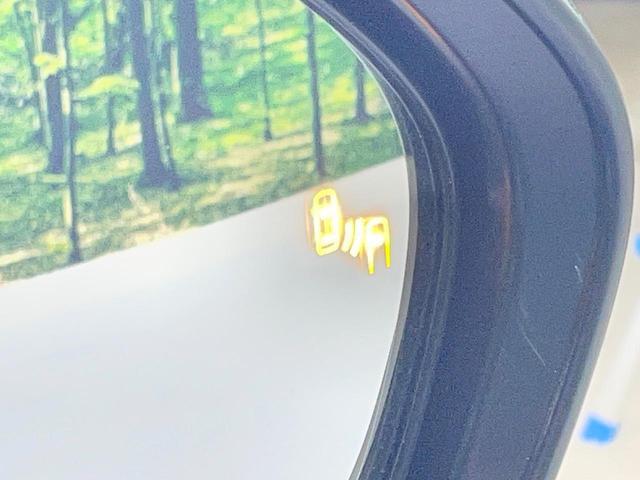 22995126_carP_l_17.jpg