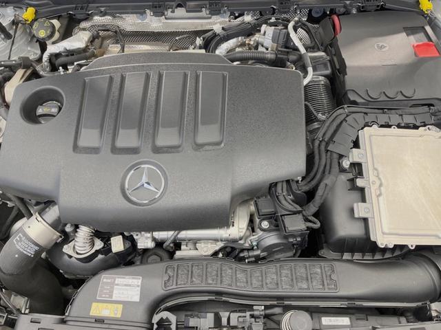 22003228_carP_l_18.jpg