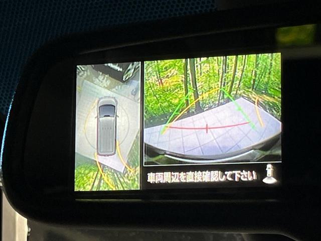 22242549_carP_l_13.jpg