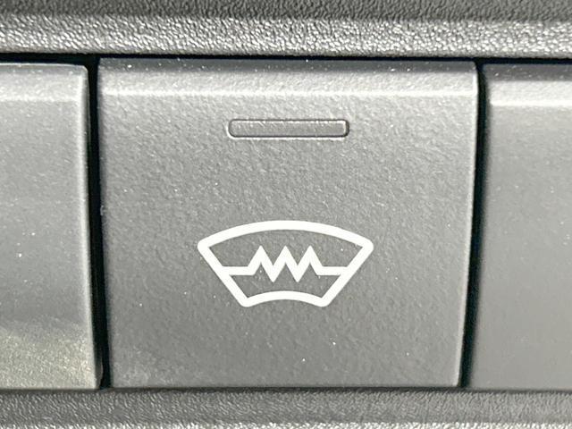 21747537_carP_l_17.jpg