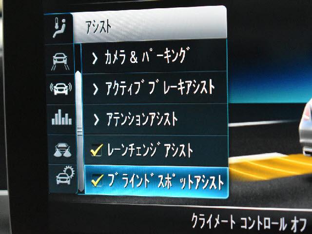 22044271_carP_l_14.jpg