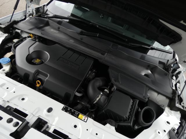 22619130_carP_l_20.jpg