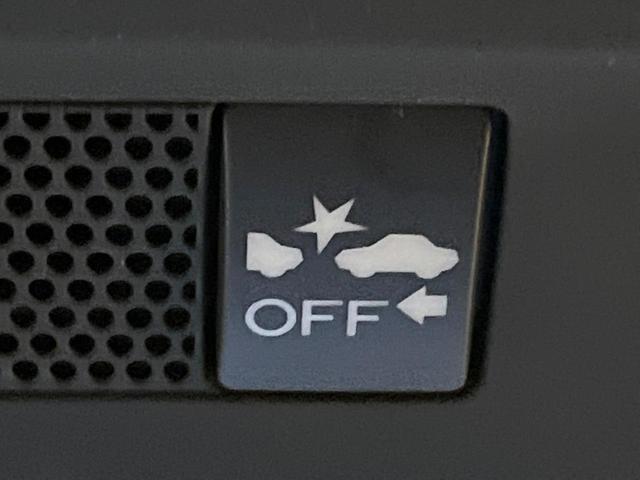 22223336_carP_l_13.jpg
