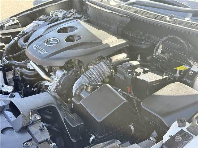 9d1febfeafb5067c78005d082e26c712.jpg