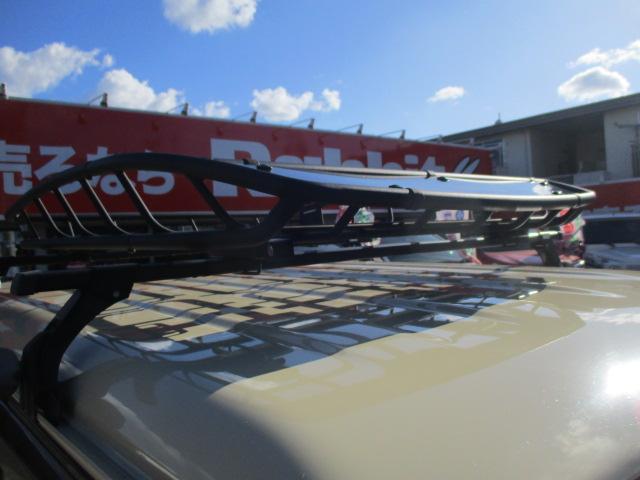 22725126_carP_l_9.jpg